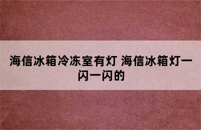 海信冰箱冷冻室有灯 海信冰箱灯一闪一闪的